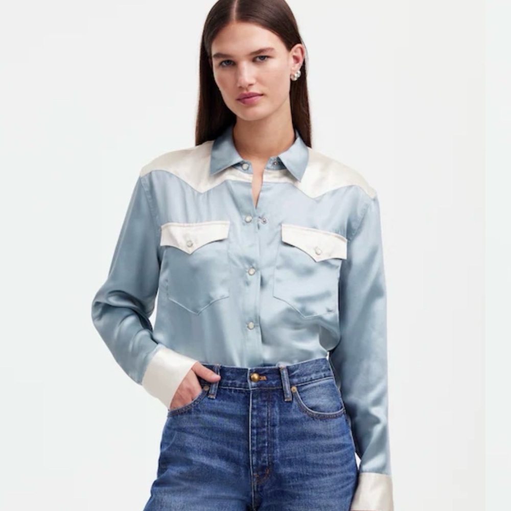 Madewell Alexa Chung Light Blue and Cream Button Down Shirt